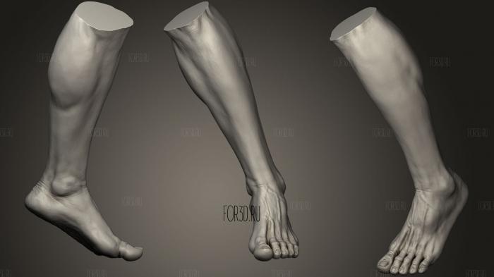 Male Foot 8